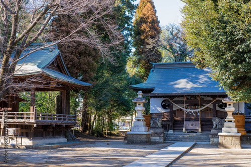 Photography Tranquil Japanese Shrine Courtyard