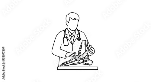 Doctor examining ankle joint model, medical illustration, orthopedics concept