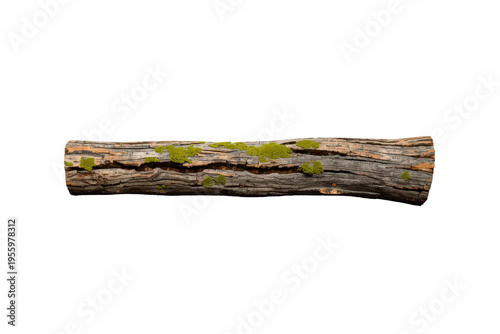 Natural wood log with green moss on bark isolated, representing nature, organic texture, and forestry elements