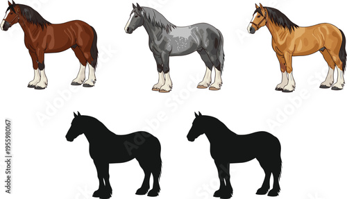 Collection of Heavy Draft Horse Illustrations Featuring Shire and Clydesdale Breeds in Various Colors and Black Silhouette for Equestrian Graphics