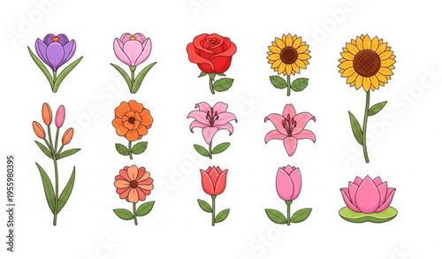 Cute blooming flower cartoon vector set rose sunflower tulip lily lotus crocus illustration