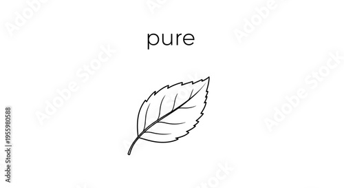 Simple Line Drawing of a Leaf with the Word 'Pure' Above