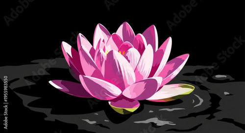 Vibrant pink lotus flower floating on dark water with ripples isolated on black background serene and peaceful atmosphere