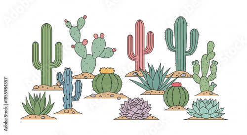 Desert plants and cacti in various shapes and colors on sandy mounds