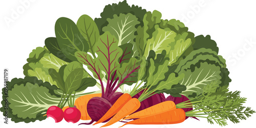 Flat vector illustration of a fresh organic vegetable harvest including leafy green kale lettuce spinach carrots radishes and beets for healthy nutrition and gardening.