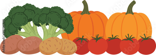 Flat vector illustration of fresh garden vegetables including orange pumpkins green broccoli red tomatoes and brown potatoes for healthy autumn harvest and organic nutrition concepts.