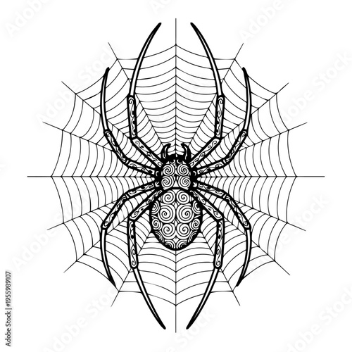 Intricate monochrome spider with an elaborate web pattern, detailed arachnid illustration showcasing symmetry and fine line work.