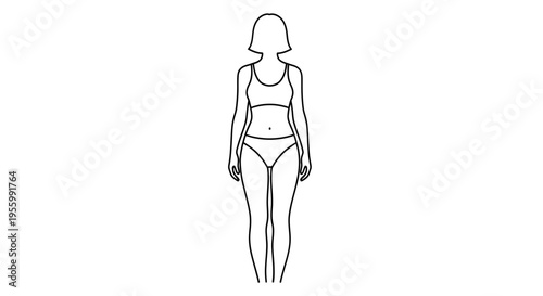 Outline of a woman's body in underwear, front view, body shape illustration