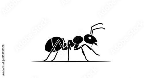 Black and white drawing of ant.