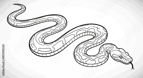 Snake illustration with curled body.