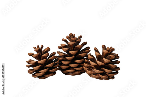 Pinecones representing autumn and nature, displaying natural brown textures, perfect for seasonal designs