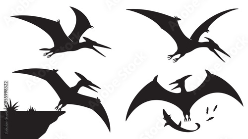 Pterodactyls Flying Silhouettes On White Background For Prehistoric Dinosaur Concepts