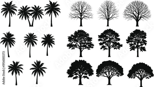 Collection of black tree silhouettes featuring palm trees and deciduous forest species with bare branches for landscape design botanical vector illustration cad drawing sets.