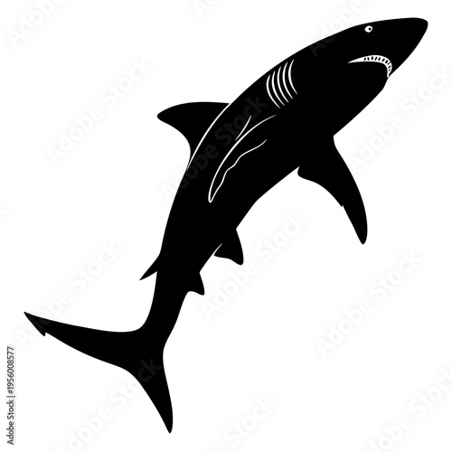 A black shark silhouette on transparent background