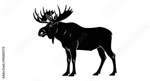 Majestic silhouette of a large male moose with antlers standing proudly against a clean white background vector art