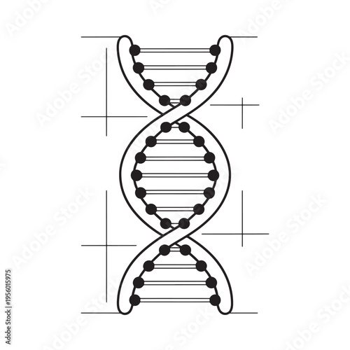 Simple black and white illustration of a double helix dna structure