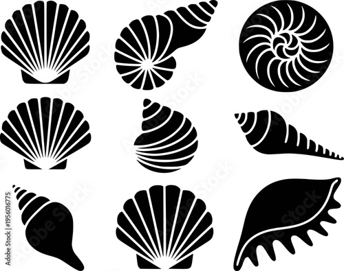 Collection of Black Silhouette Seashells and Scallops White Background nautilus conch