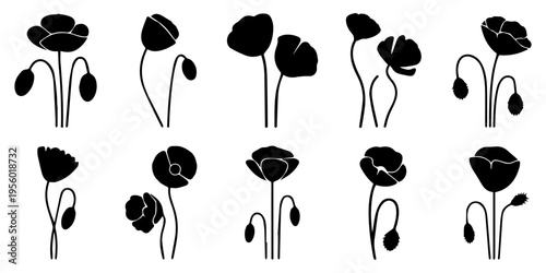 Silhouette Soldier Poppy Flowers ANZAC Day Remembrance, Minimalist black silhouette wildflower and poppy vector set various stems buds meadow clusters single blooms side view ornamental composition