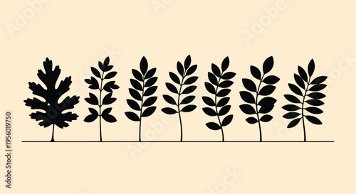 Set of black silhouettes of different types of leaves, botanical elements for design, vector illustration of various tree foliage a light background