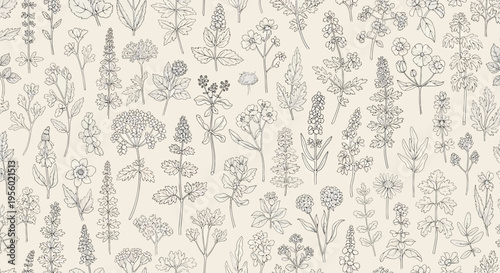 Seamless pattern with hand drawn wild flowers and herbs botanical illustration of meadow plants, floral background for textile, wallpaper, wrapping paper, fabric, stationery, and packaging design
