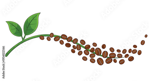 Coffee branch with green leaves and roasted coffee beans, vector illustration