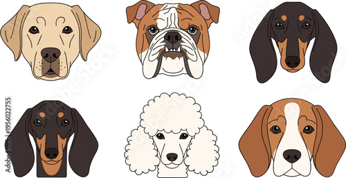 Dog breeds faces collection with different puppy portraits including bulldog dachshund poodle beagle and labrador cute pet cartoon vector illustration set