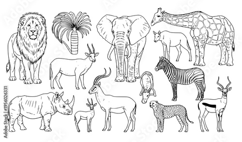 Canvas Print Hand Drawn African Wild Animals Outline Vector Set Tropical Wildlife Sketch Coll
