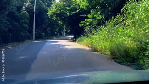 POV driving shot along a peaceful rural road with dense green vegetation and bright daylight. Ideal for concepts of travel, nature, freedom, road trips, and transportation.