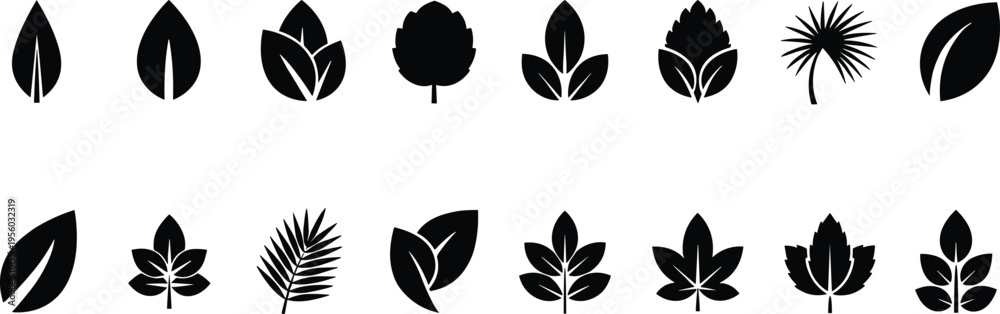 Obraz premium Collection of black leaf icons and organic foliage shapes set on white background representing nature eco friendly environment sustainability and biology