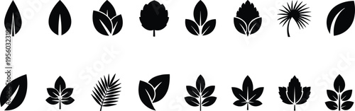 Collection of black leaf icons and organic foliage shapes set on white background representing nature eco friendly environment sustainability and biology