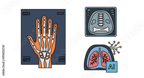 Medical Imaging of Human Body.