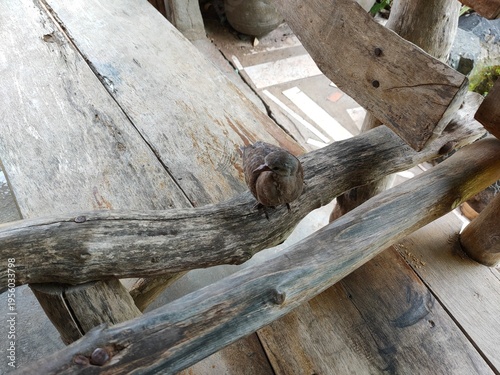 old wooden fence
