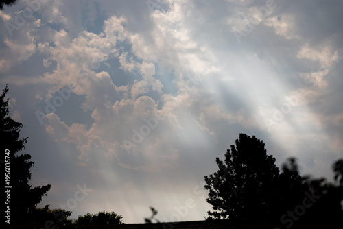 Sunlight pierces cloud layers, casting radiant beams. Trees stand dark, framing the sky's glow. The light feels warm, peaceful, and hopeful. Ideal for calm, spiritual, or nature-themed projects