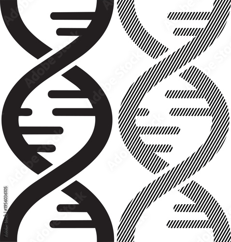 The iconic double helix structure of deoxyribonucleic acid in black and white