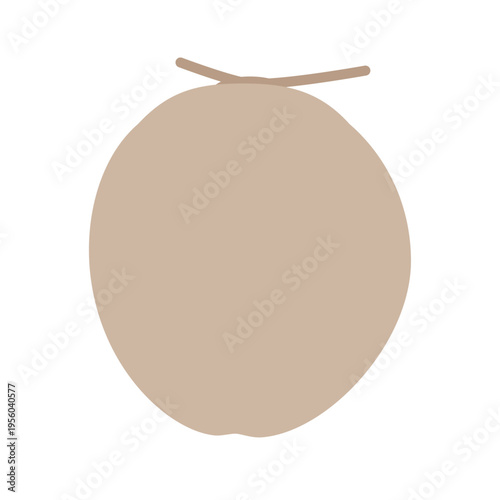 ココナッツのシンプルなフラットイラスト