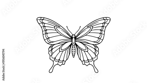 A delicate butterfly vector illustration in a minimalist line art style with a transparent background