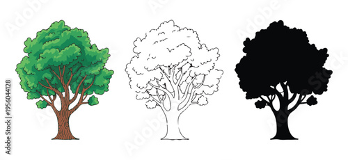 Three variations of a mature leafy tree including realistic color white line art and dark black silhouette