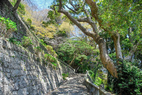 Foto 静岡県静岡市の久能山東照宮へ続く歴史を感じさせる石垣と石段の参道風景/Historical Stone Walls and Stairs Leading to