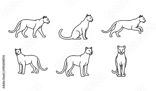 set of horses Elegant Puma Outline Icons Mountain Lion Poses Vector Collection
