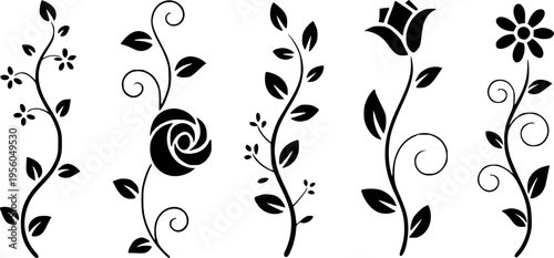 Black silhouette floral vine with roses and simple flowers white background