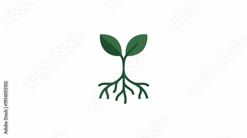 Sapling Minimalist Flat Vector Icon Young Plant with Developing Roots