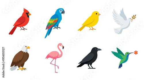 A vector illustration of various colorful birds, including a cardinal, macaw, canary, dove, eagle, flamingo, crow, and hummingbird, in a natural setting.