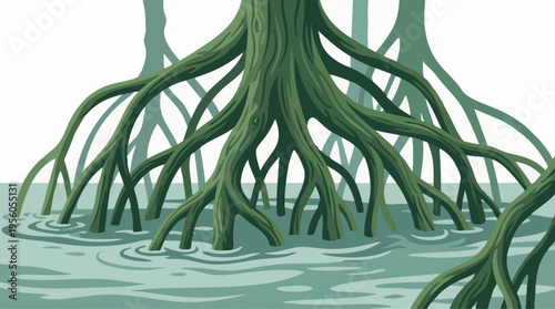 Mangrove Roots in Calm Water a Tropical Wetland Ecosystem Illustration