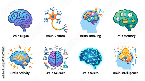 Vector illustration of human brain organ and neurons showcasing brain thinking, memory, activity, science, and neural intelligence.