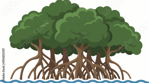 Mangrove Trees with Dense Green Foliage and Stilt Roots in Water Illustration