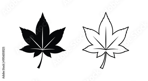 Two maple leaves one dark and one light presented as a striking silhouette