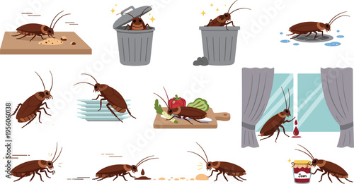 Cockroach Behavior and Infestation Scene Collection Vector Illustration Set Showing Household Pest Activities, Dirty Environment, Hygiene Problems, and Urban Insect Life Concepts