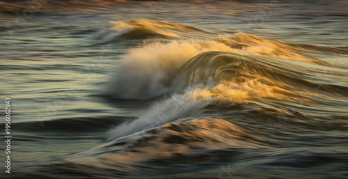Golden ocean waves in motion. Muriwai Beach. Auckland.