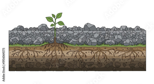 Resilient green plant vigorously breaks through a formidable stony barrier illustrating nature's enduring power and relentless will to thrive in