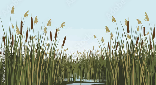 Vibrant illustrative wetland scene featuring tall green reeds and prominent brown cattails emerging from tranquil shallow waters under a clear azure